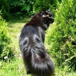 Meet your Posher, Inama